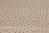 Small coloured dots on beige - Cotton by Kokka - 6m