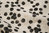 Manzanitas con lunares - negro - de Kokka - 6m
