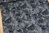 Feuilles tropicales - bleu foncé - Coton by Kokka - 6m