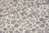 Cama floral - gris sobre fondo blanco - Algodón de Kokka - 6m