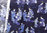 Utsukushii musume - Blue on blue - Cotton 6m
