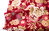 Kiku and berries - Red - Cotton - 10 mts