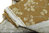 Foeniculum vulgare sobre fondo mostaza - Algodón y lino por Kokka