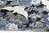 Tsuru y seigaiha púrpura en azul marino - Algodón - 10m