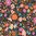 Colorful flowers on black - Good Vibes by Bethan Janine for Dashwood Studio - Cotton - 5 or 10m